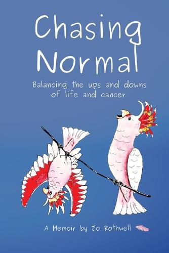 Cover image for Chasing Normal