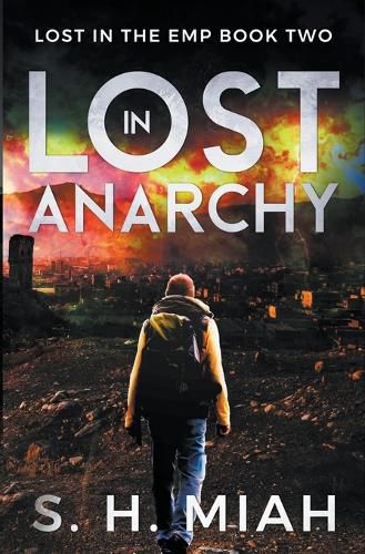 Cover image for Lost in Anarchy