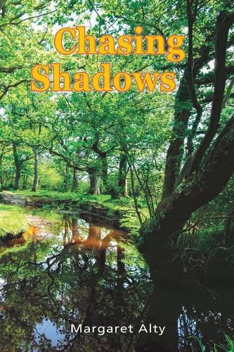 Cover image for Chasing Shadows