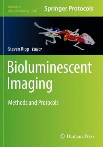 Cover image for Bioluminescent Imaging: Methods and Protocols