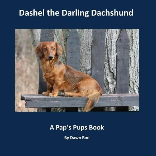 Cover image for Dashel the Darling Dachshund