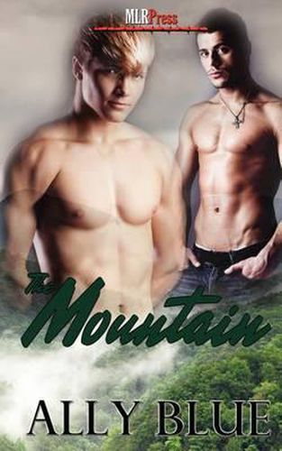 Cover image for The Mountain