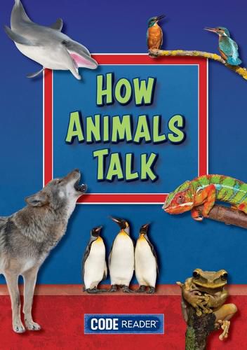 Cover image for How Animals Talk