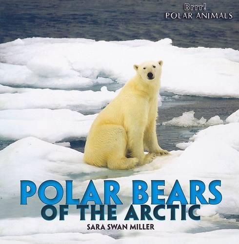 Polar Bears of the Arctic