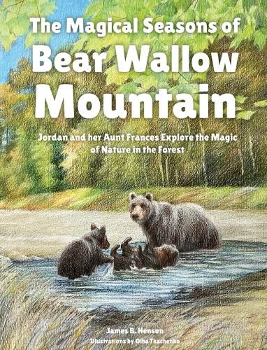 Cover image for The Magical Seasons of Bear Wallow Mountain