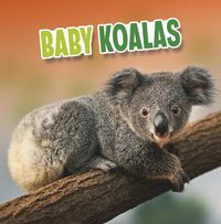 Cover image for Baby Koalas