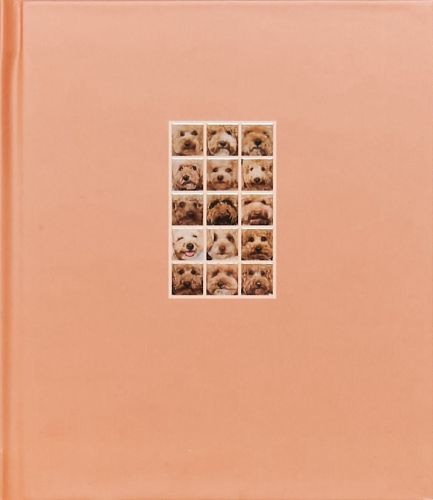 Cover image for APRICOT POODLE