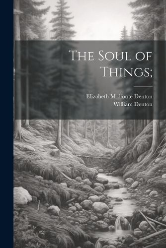 Cover image for The Soul of Things;