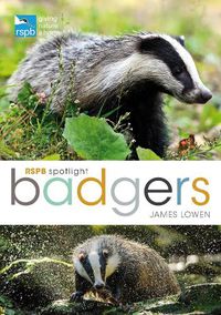 Cover image for RSPB Spotlight: Badgers