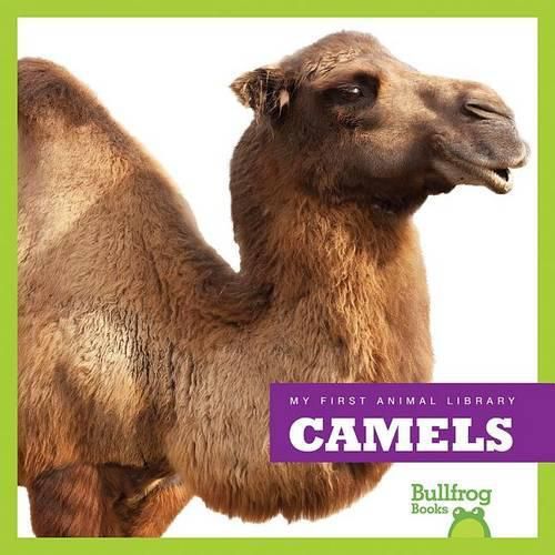 Cover image for Camels