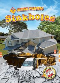 Cover image for Sinkholes