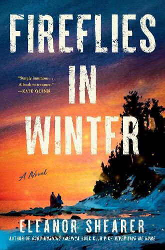 Cover image for Fireflies in Winter