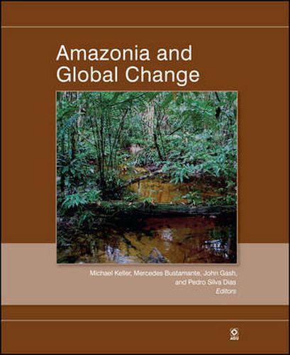 Amazonia and Global Change