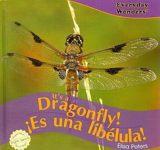 It's a Dragonfly! / !Es Una Libelula!