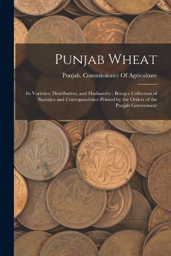 Punjab Wheat