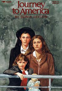 Cover image for Journey to America