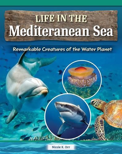 Life in the Mediterranean Sea