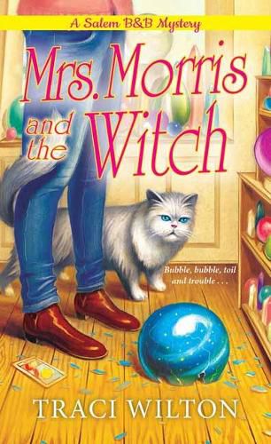 Cover image for Mrs. Morris and the Witch