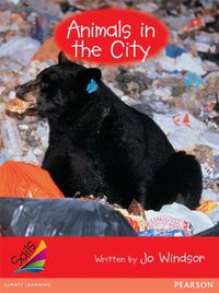 Cover image for Sails Early Red Set 2: Animals in the City