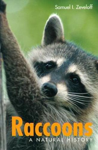 Cover image for Raccoons: A Natural History