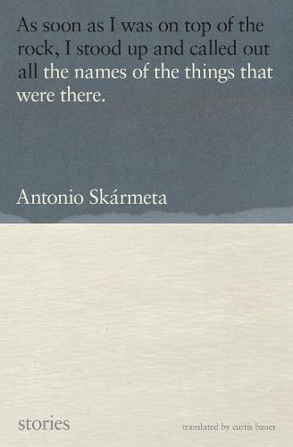 Cover image for The Names of the Things That Were There