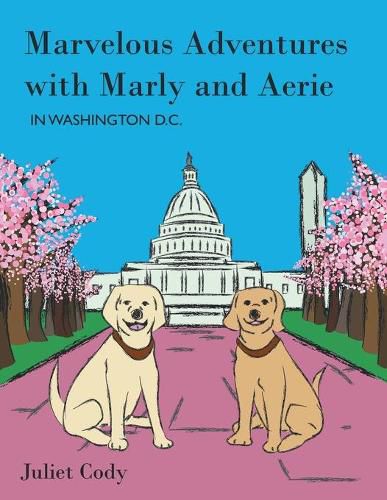 Cover image for Marvelous Adventures with Marly and Aerie in Washington D.C.