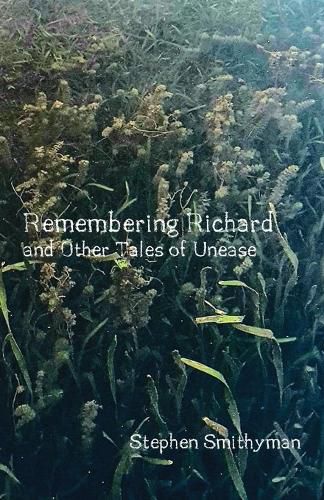 Cover image for Remembering Richard