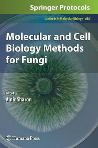 Cover image for Molecular and Cell Biology Methods for Fungi