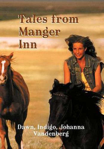 Cover image for Tales from Manger Inn