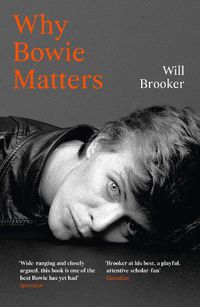 Cover image for Why Bowie Matters