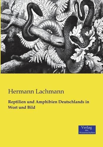 Cover image for Reptilien und Amphibien Deutschlands in Wort und Bild