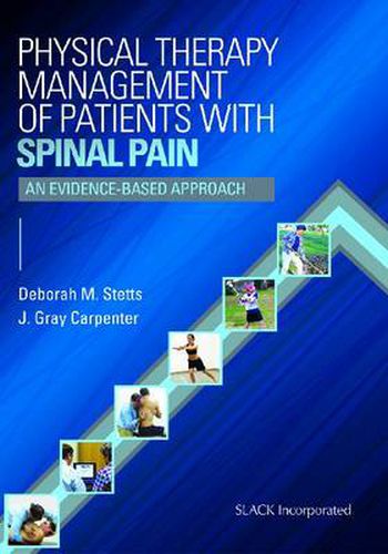 Physical Therapy Management of Patients with Spinal Pain: An Evidence-Based Approach