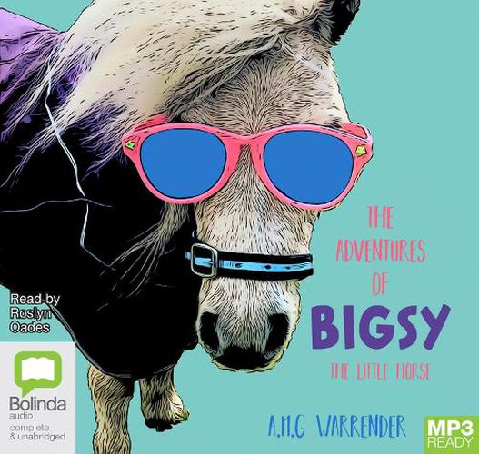 Cover image for The Adventures of Bigsy - The Little Horse