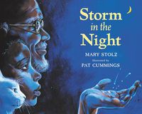 Cover image for Storm in the Night