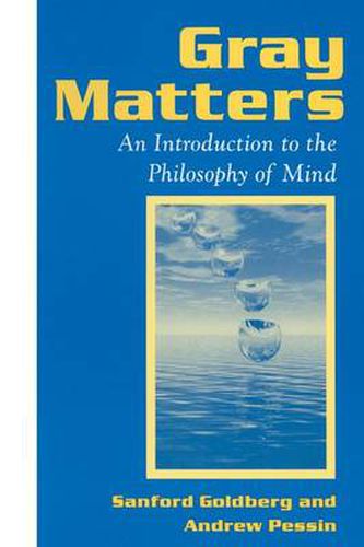 Gray Matters: An Introduction to the Philosophy of Mind