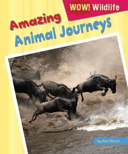 Cover image for Amazing Animal Journeys