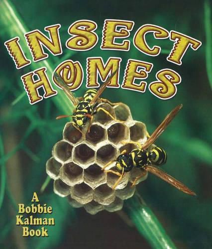 Cover image for Insect Homes