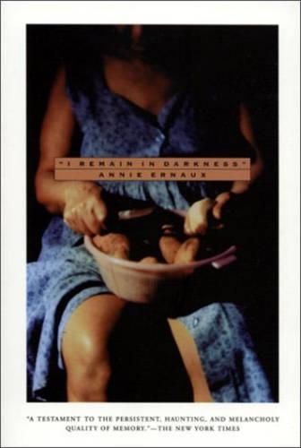 Cover image for I Remain in Darkness
