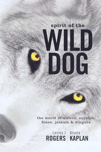 Spirit of the Wild Dog: The world of wolves, coyotes, foxes, jackals and dingoes