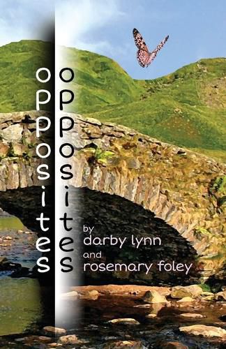 Cover image for opposites