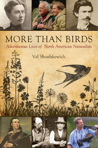 Cover image for More Than Birds: Adventurous Lives of North American Naturalists