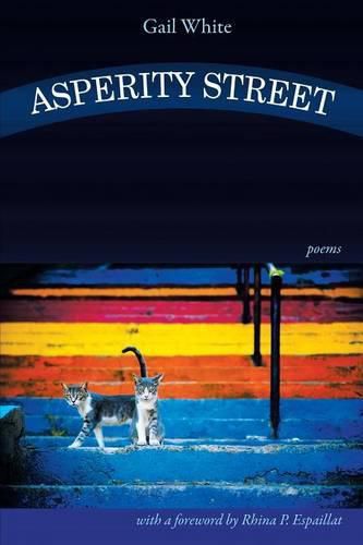 Cover image for Asperity Street