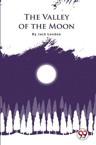 Cover image for The Valley of the Moon