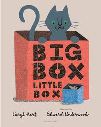 Cover image for Big Box Little Box