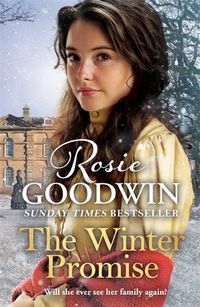 Cover image for The Winter Promise: A perfect cosy Victorian saga from the Sunday Times bestselling author