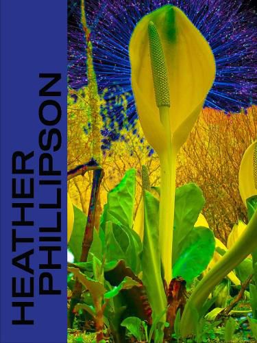 Cover image for Heather Phillipson