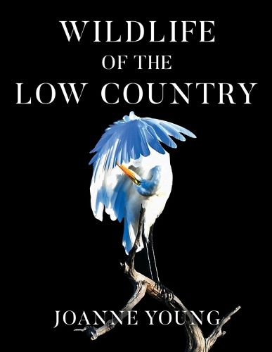 Cover image for Wildlife of the Low Country