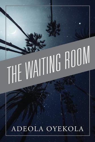 Cover image for The Waiting Room