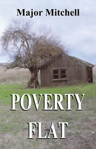 Cover image for Poverty Flat