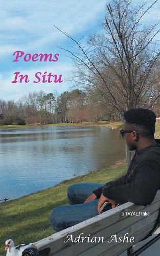 Cover image for Poems in Situ: A Tayal! Take